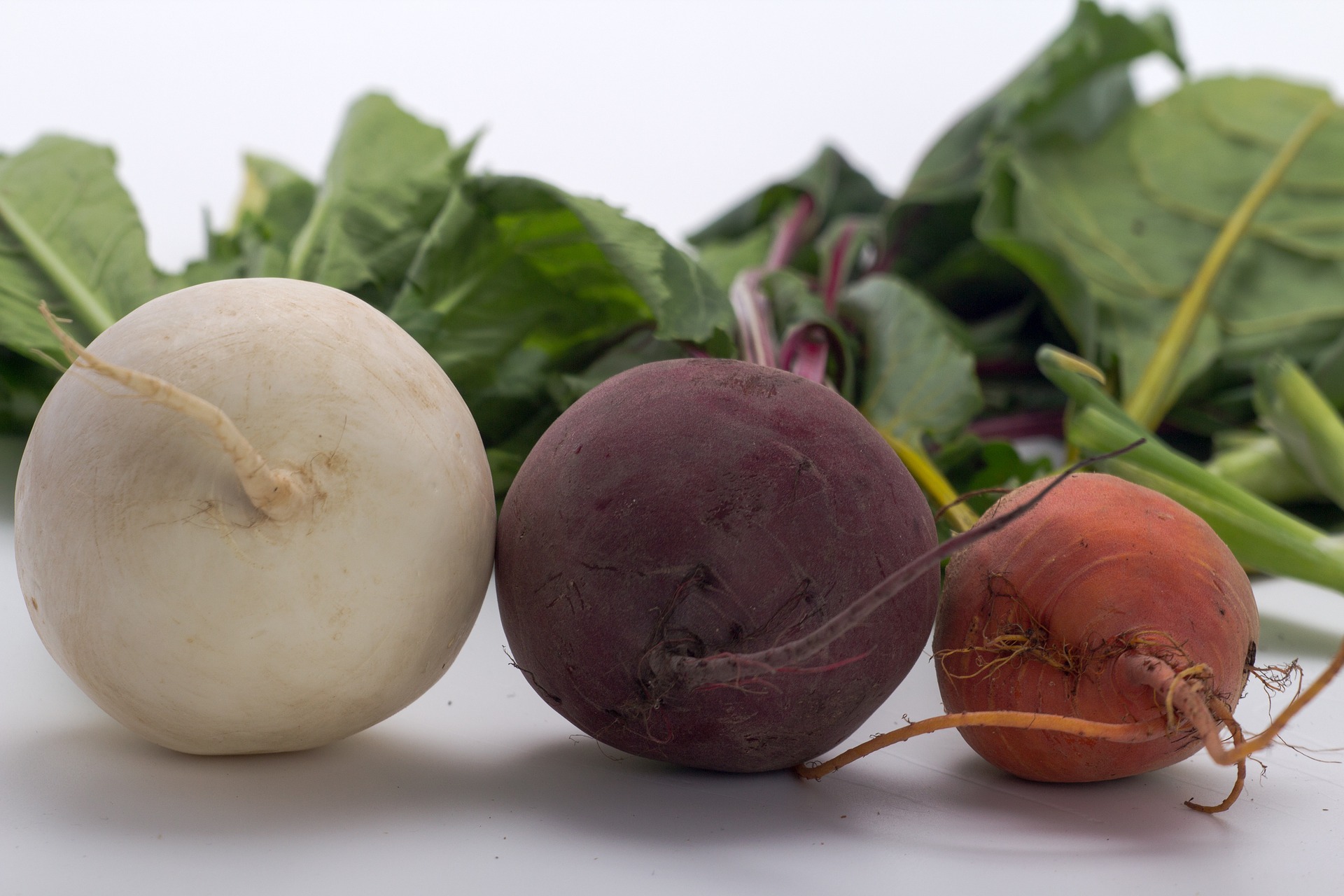 Difference Between Beets And Turnips ErinNudi