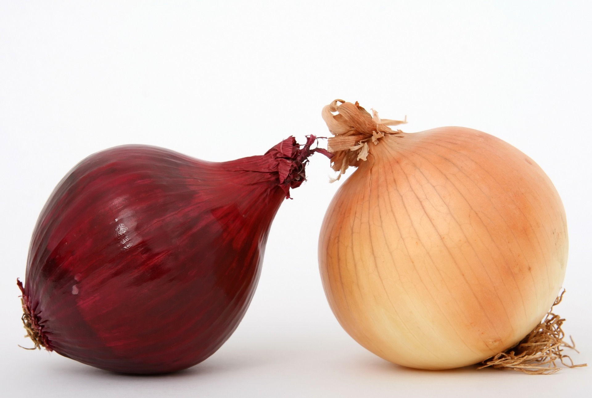 Difference Between White And Red Onions and Yellow 